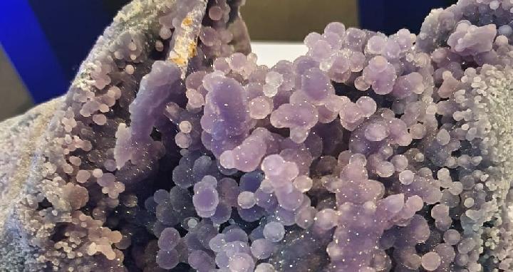 Batu Manakarra dari Mamuju jadi Pusat Perhatian di Museum Geologi Bandung